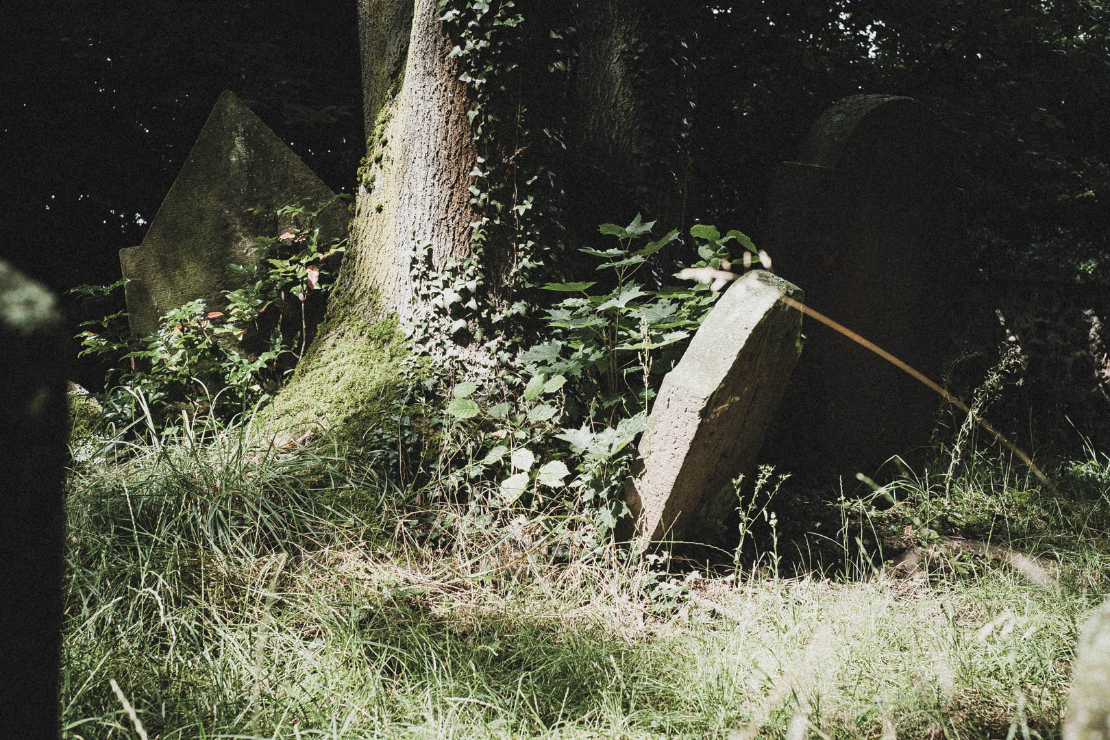 Langenselbold, Jüdischer Friedhof